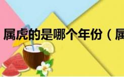 属虎的是哪个年份（属虎的年份是多少年的）