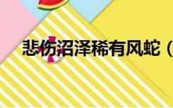 悲伤沼泽稀有风蛇（尘泥沼泽稀有风蛇）