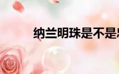 纳兰明珠是不是忠臣（纳兰明珠）