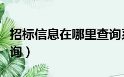 招标信息在哪里查询系统（招标信息在哪里查询）