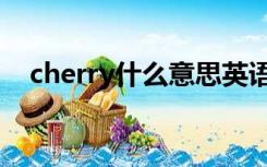 cherry什么意思英语（cherry什么意思）