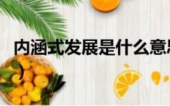 内涵式发展是什么意思（内涵发展是什么意思）