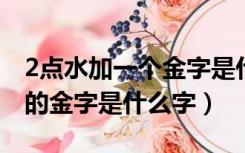 2点水加一个金字是什么字（两点水加个黄金的金字是什么字）