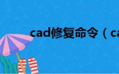 cad修复命令（cad文件修复命令）