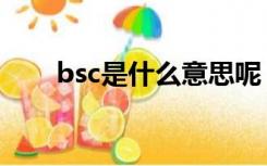 bsc是什么意思呢（bsc是什么意思）