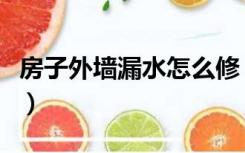 房子外墙漏水怎么修（外墙装修漏水怎么处理）