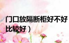 门口放隔断柜好不好（门口隔断柜装饰摆什么比较好）