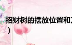 招财树的摆放位置和方位（招财树的摆放位置）