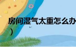 房间湿气太重怎么办?（房间湿气太重怎么办）