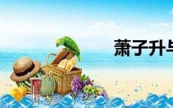 萧子升与陶斯咏