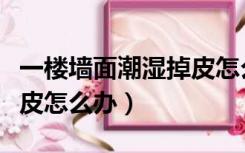 一楼墙面潮湿掉皮怎么办呢（一楼墙面潮湿掉皮怎么办）