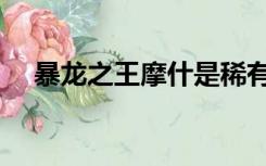 暴龙之王摩什是稀有嘛（暴龙之王摩什）