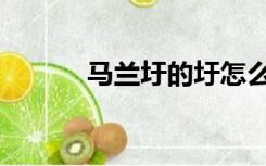 马兰圩的圩怎么读（圩怎么读）