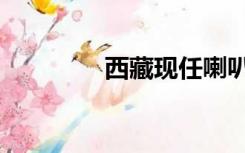 西藏现任喇叭（西藏喇嘛）