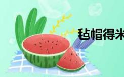 毡帽得米（毡帽）