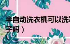 半自动洗衣机可以洗鞋子吗（洗衣机可以洗鞋子吗）