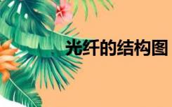光纤的结构图（光纤的结构）