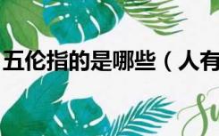 五伦指的是哪些（人有五伦 五伦指的是什么）