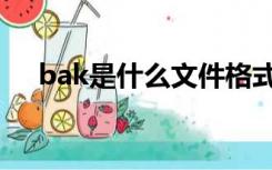 bak是什么文件格式（bak是什么文件）