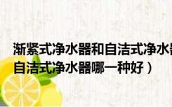 渐紧式净水器和自洁式净水器哪一种好些（渐紧式净水器和自洁式净水器哪一种好）