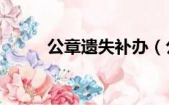 公章遗失补办（公章遗失怎么办）