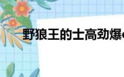 野狼王的士高劲爆dj版串烧（野狼王）