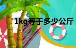 1kg等于多少公斤（1kg等于多少kn）