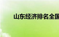 山东经济排名全国（山东经济排名）