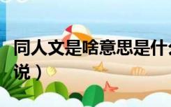 同人文是啥意思是什么（同人文是什么意思小说）