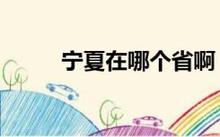宁夏在哪个省啊（宁夏在哪个省）