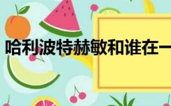 哈利波特赫敏和谁在一起了（哈利波特赫敏）