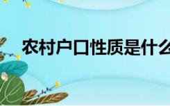 农村户口性质是什么（户口性质是什么）