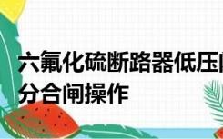 六氟化硫断路器低压闭锁装置动作后仍可进行分合闸操作