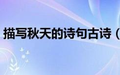 描写秋天的诗句古诗（描写冬天的诗句古诗）