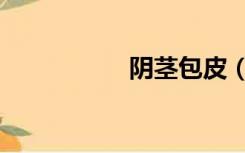 阴茎包皮（阴茎包皮）