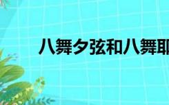八舞夕弦和八舞耶俱矢（八舞夕弦）