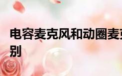 电容麦克风和动圈麦克风的区别多的有什么区别