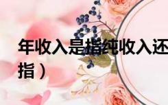 年收入是指纯收入还要扣花销吗?（年收入是指）