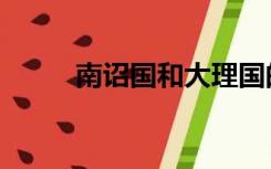 南诏国和大理国的关系（南诏国）
