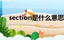 section是什么意思（SEC 是什么意思）