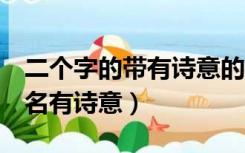 二个字的带有诗意的网名有哪些（2个字的网名有诗意）