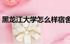 黑龙江大学怎么样宿舍（黑龙江大学怎么样）