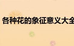 各种花的象征意义大全（花的象征意义大全）