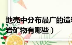 地壳中分布最广的造岩矿物（地壳中的主要造岩矿物有哪些）