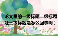 论文里的一级标题二级标题（毕业论文中的一级标题二级标题三级标题是怎么回事啊）