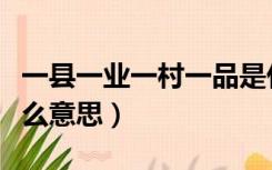 一县一业一村一品是什么意思（一村一品是什么意思）