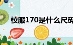 校服170是什么尺码（170是什么尺码）
