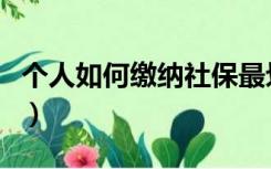 个人如何缴纳社保最划算（个人如何缴纳社保）