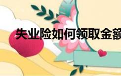 失业险如何领取金额（失业险领取金额）