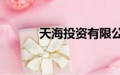 天海投资有限公司（天海投资）